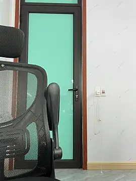 L_We Show Webcam