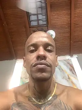 Salomon_koude élő XXX-chatje