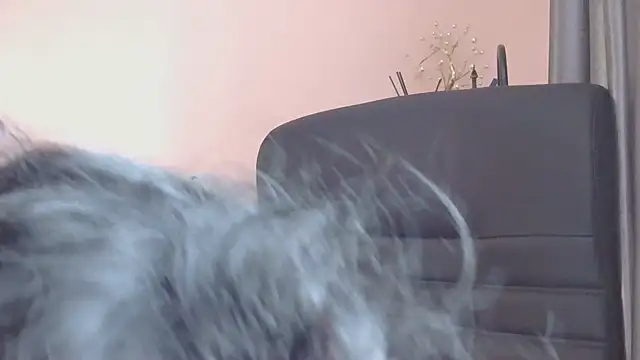 Živý XXX chat Medjik_lool