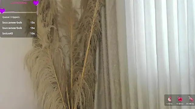 Show webcam de MissyAndNova