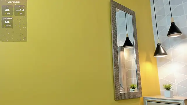 Sammy_Fit_ Show in webcam