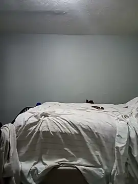 Show Webcam de Bigdaddybill