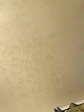 Blkstylion's Webcam Show