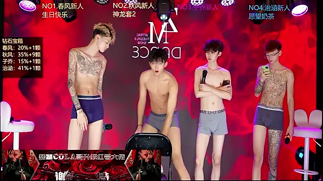 Show de webcam de NDN-6666