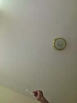 Show Webcam de piggylatino