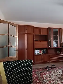 Pro100yy Webcam show