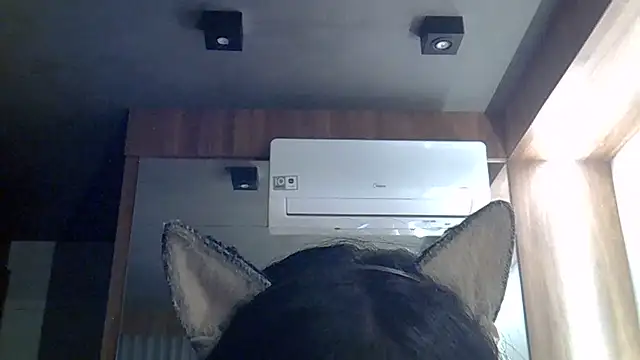 Show de webcam de SkinnyKitten
