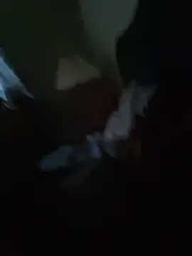 Pertunjukan Kamera Web Kek447
