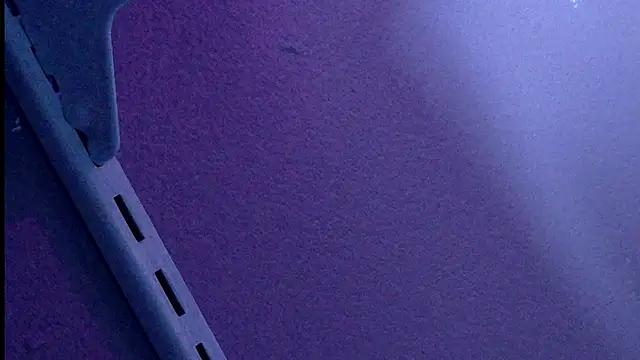 הופעת וובקאם של PNPSPUN1