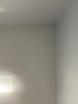 violetaurora95 라이브 XXX 채팅