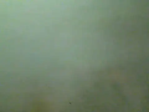 Foxboy65 Chat XXX live