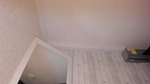 Webkamerová show DominicSccott