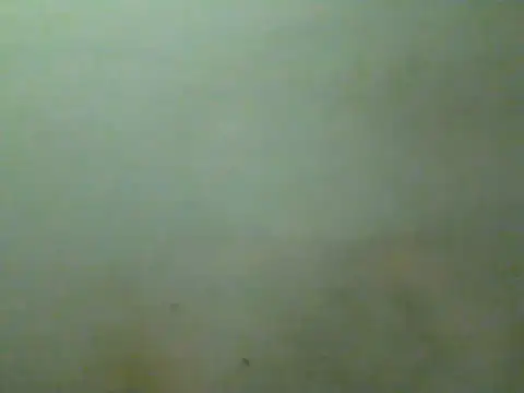 Chat XXX en directo de Foxboy65