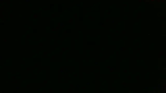 Show Webcam de chichoplus