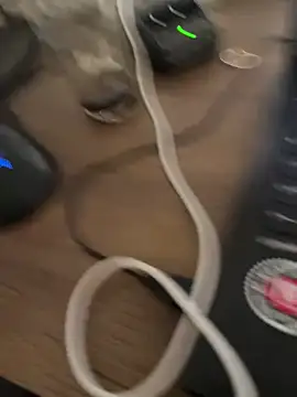 XXX chat uživo modela HotHetero