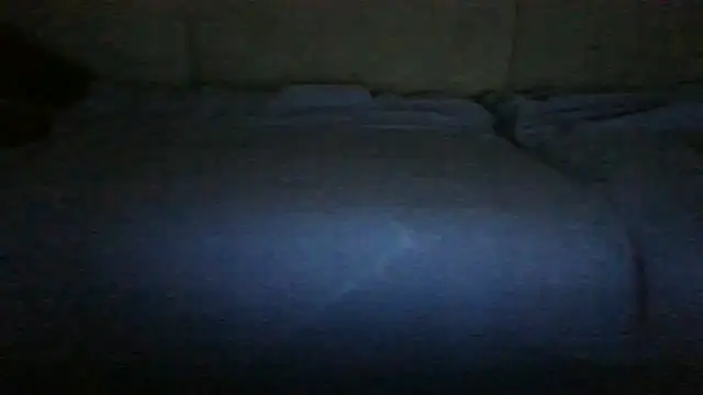 chichoplusn Live XXX chat
