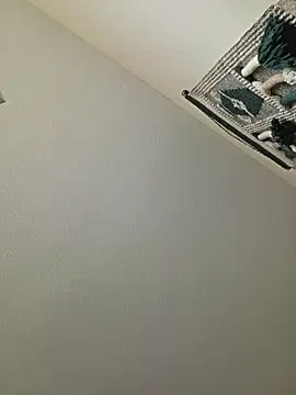 Show Webcam de piggylatino