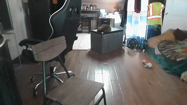 bigshh8's Webcam Show