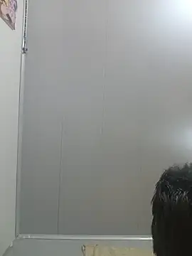 Andres_medi32n Webbikameraesitys