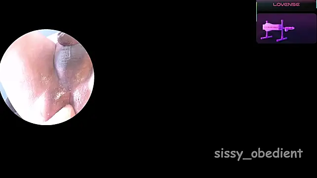 Sissy_Obedientn Live XXX chat