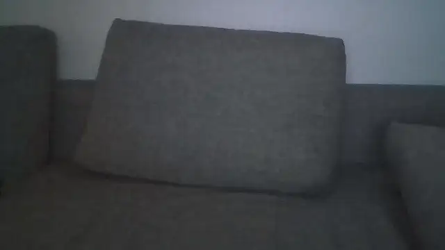 Show webcam de Johanpvr