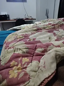 Show de webcam de Willdpo