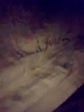 lilldickyyyのウェブカメラショー