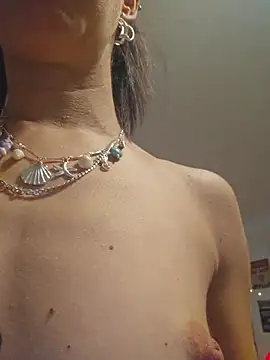 U_prolazu Webcam show