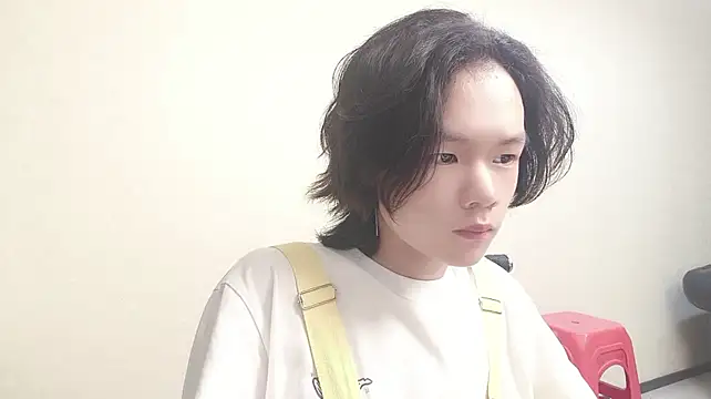 Show webcam de YYW_000