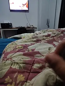 Show de Willdpo na webcam