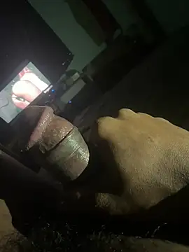 Perk_S Webcam-Show