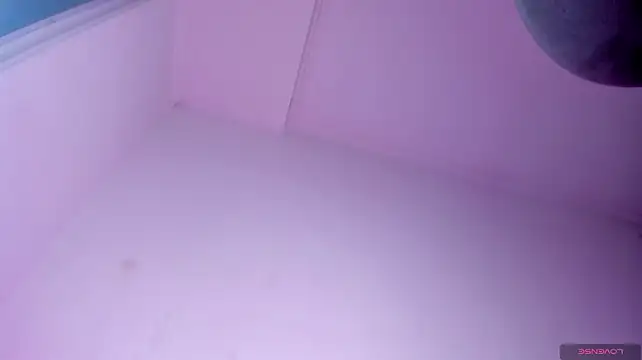 shesnotme 即時 XXX 聊天