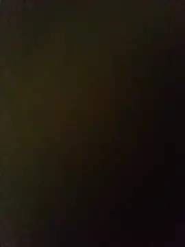 Show webcam de Ramirez4209