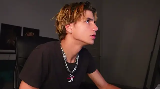 Denis_Wun Webbikameraesitys
