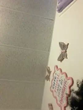 Mrlaythedickdownn Webbikameraesitys