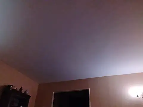 Perv10 webcam show