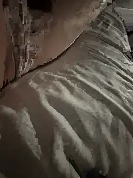 DanOnCam Webcam Show