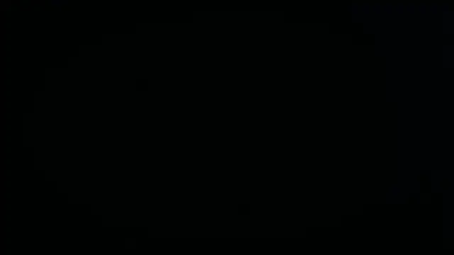 Show webcam de zacc3