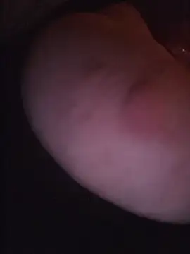 ludderlotta Webcam-Show