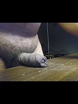 Chat XXX Live bigbuldgee
