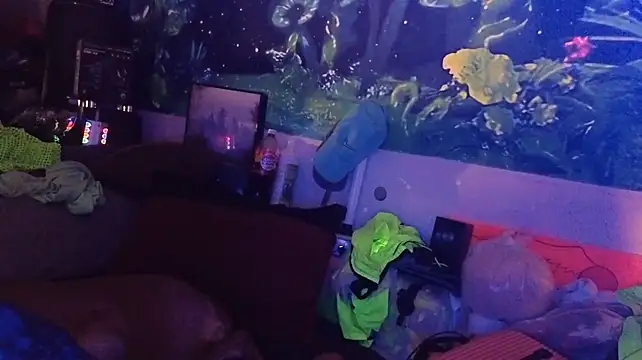 Cojote 现场XXX聊天