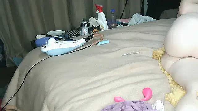 xylegs 在線直播表演