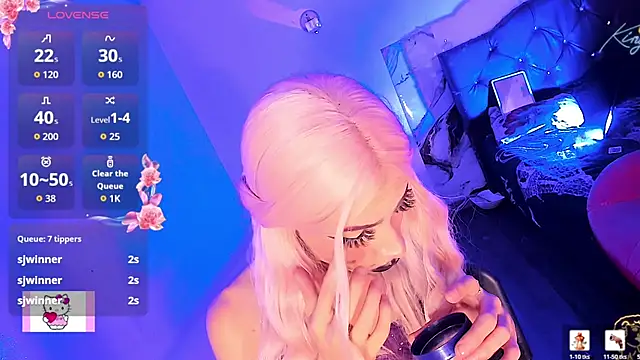 Rossedewitt_n Webbikameraesitys
