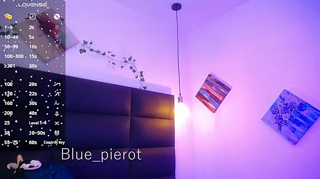 blue_pierotのウェブカメラショー