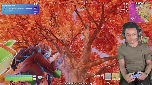 عرض كام lovemirgaming
