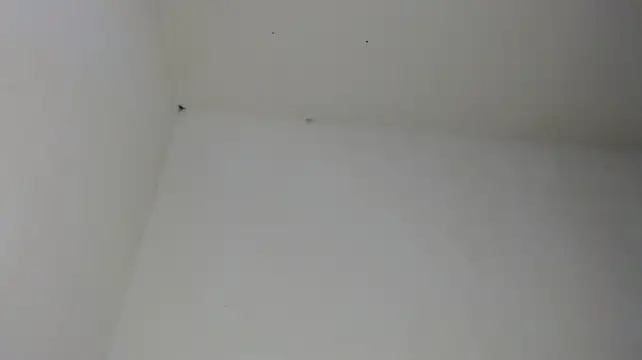 drako_monster 라이브 XXX 채팅