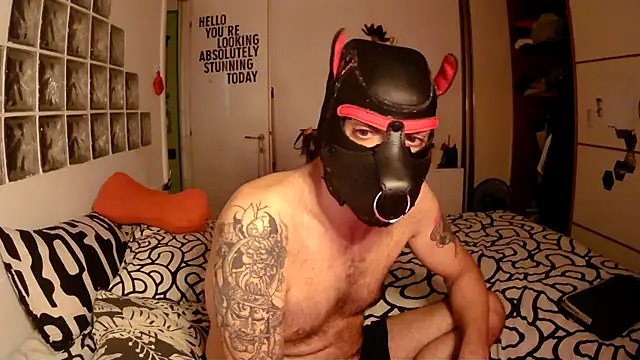 danix_wild_wolf Pertunjukan Webcam