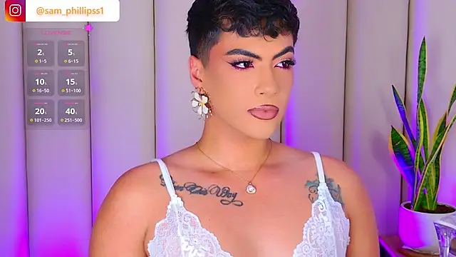 sam_phillipssn Webbikameraesitys