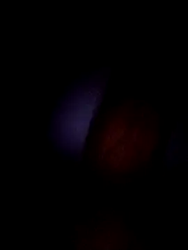 Fjcos – webcam-show