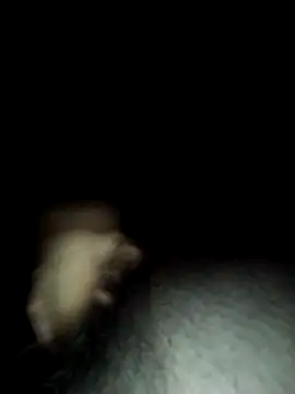 Fjcos Webcam show